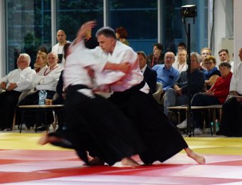 Sokumen irimi nage