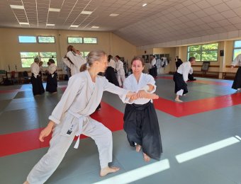 Shiho nage