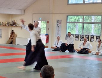 Irimi nage
