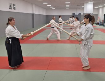 Kenjutsu - seigan kamae