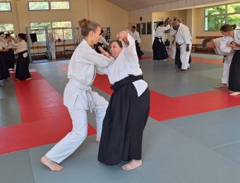Ude gaeshi