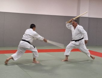 Kenjutsu - kesa giri sode suri
