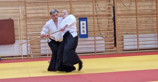 Jo dori irimi nage