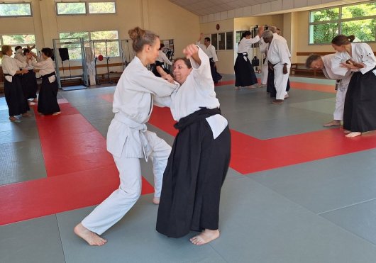 Ude gaeshi