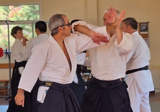 Ude gaeshi