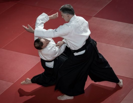 Sokumen irimi nage 2