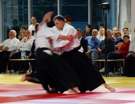 Sokumen irimi nage