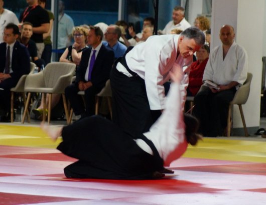 Tanto dori kote geashi