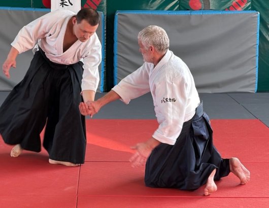 Hanmi handachi waza kote gaeshi