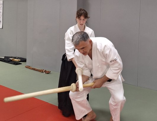Kenjutsu - Kumi wakare taoshi uchi