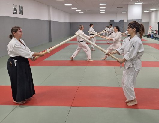 Kenjutsu - seigan kamae