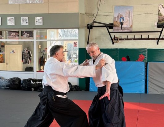 Mae ryo kata dori atemi