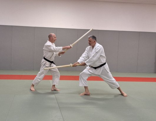 Kenjutsu - enbi ken