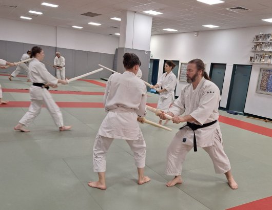 Kenjutsu - kesa giri sode suri