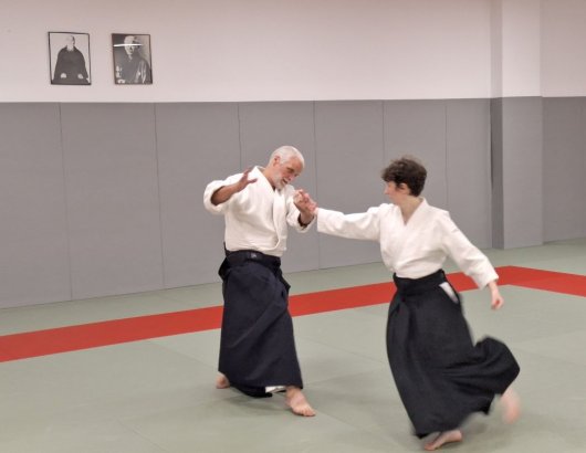 Kote gaeshi