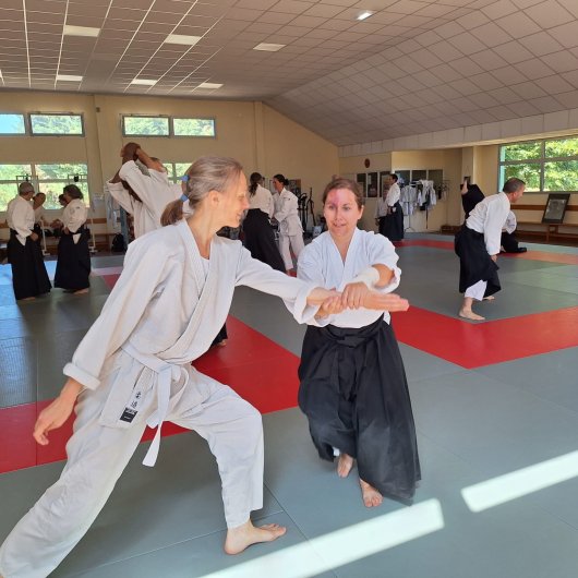 Shiho nage