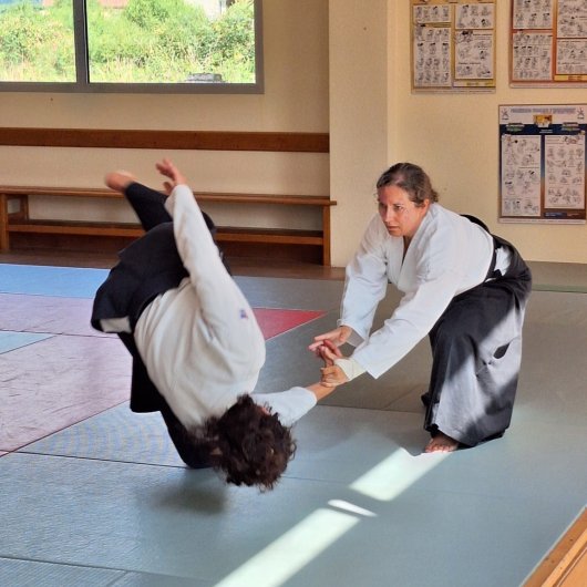 Kote gaeshi