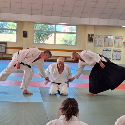 Hanmi handachi futari dori