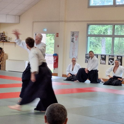 Irimi nage