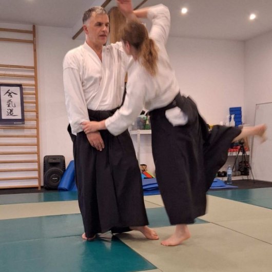 Irimi nage