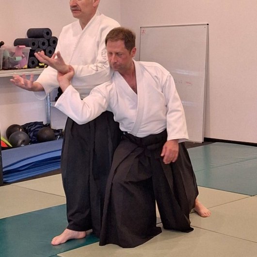 Iwama - Sokumen irimi nage