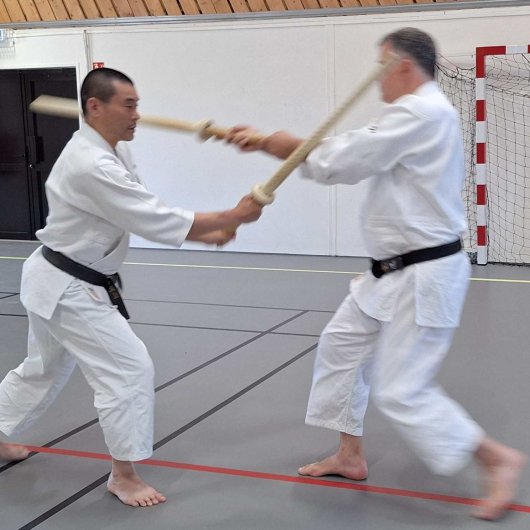 Kenjutsu - Kesa tachi zuke