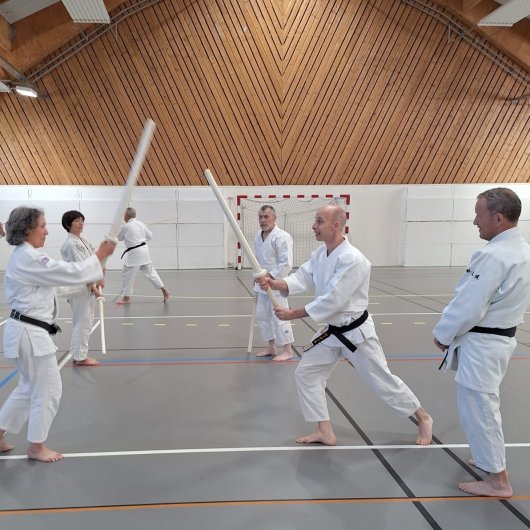 Kenjutsu - Kumi tachi seigan