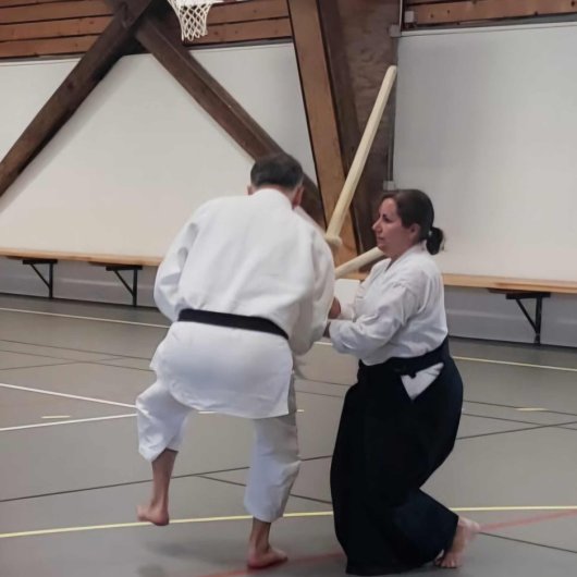 Kenjutsu - Sente tsukadaoshi