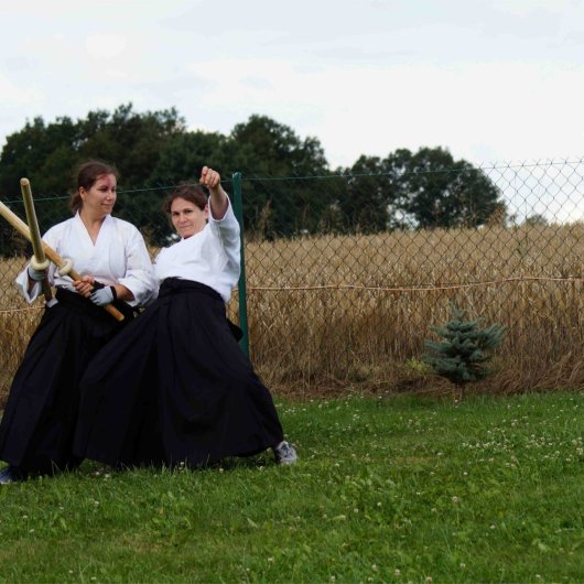 Kenjutsu - Tsubazeri taoshi