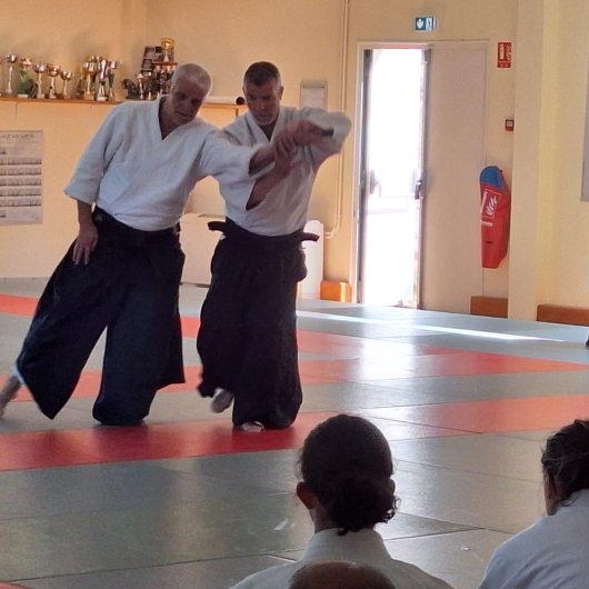 Shiho nage - praca uke