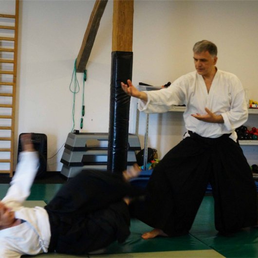 Sokumen irimi nage