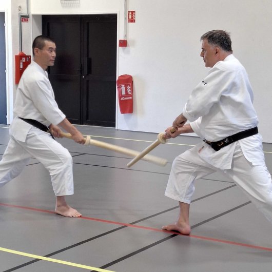 Kenjutsu - Do tachi zuke