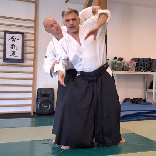 Ushiro ryo hiji dori